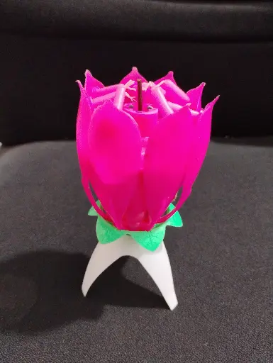 Lotus Candle